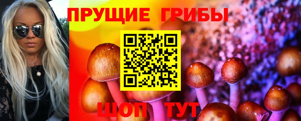Псилоцибиновые грибы Cubensis  Вход с VPN  Алатырь 