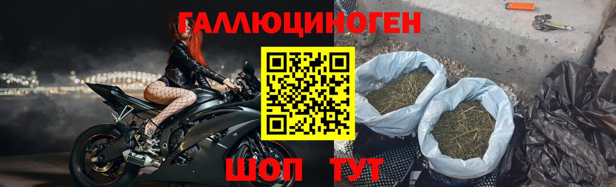 Псилоцибиновые грибы мицелий Алатырь